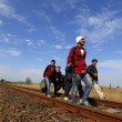 Migranti, oltre 2mila in Ungheria dalla Serbia in 24 ore