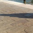 Venezia, bagno nudo nel Canal Grande, turisti senza maglietta a San Marco 10