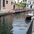 Venezia, bagno nudo nel Canal Grande, turisti senza maglietta a San Marco 7
