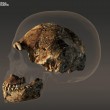 Homo Naledi, nuova specie 2 mln di anni fa. Seppelliva morti2