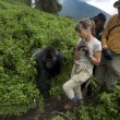 Ruanda, percorso trekking con i gorilla di montagna4