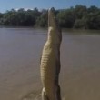 VIDEO YOUTUBE coccodrillo salta completamente fuori da acqua5