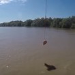 VIDEO YOUTUBE coccodrillo salta completamente fuori da acqua3