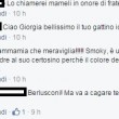 Giorgia Meloni, totonome su Fb per gattino: Marò, Benito... 04