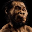 Homo Naledi: scoperta nuova specie antenato dell'uomo