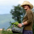 Snam e agricoltura sociale: nasce progetto "Orto nella Rete"