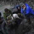 Agricoltore scava il suo campo e trova scheletro di Mammut 04