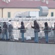 Bologna, sgombero ex Telecom: anche bambini sui tetti5
