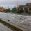 Olbia allagata: Rio Siligheddu fa temere alluvione