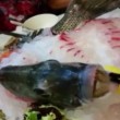 Pesce usato per sashimi trema nel piatto