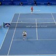 Novak Djokovic e David Ferrer