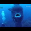 VIDEO YOUTUBE Pesce luna gigante ripreso dai sub 03