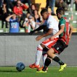 Ternana-Perugia 0-1: le FOTO del derby, partita e tifosi 14