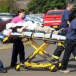 Oregon, spari college: 10 morti. Killer: "Di che fede sei6