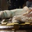 Calamaro record da 150 chili per 10 metri di lunghezza