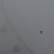 Nebbia "cancella" Londra: voli a terra e disagi2