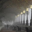 Nebbia "cancella" Londra: voli a terra e disagi16