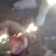YouTube piloti russi uccisi da ribelli, poi festa su corpi