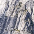 Scalatori mimetizzati sulle Dolomiti: riesci a vederli? FOTO01