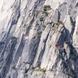 Scalatori mimetizzati sulle Dolomiti: riesci a vederli? FOTO04