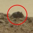 YOUTUBE Topo gigante su Marte. La strana roccia...
