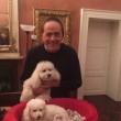 Dudù ha fatto cuccioli, Berlusconi e Pascale "molto felici"3