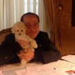 Dudù ha fatto cuccioli, Berlusconi e Pascale "molto felici"