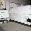 Cuccia nel materasso per dormire col proprio cane
