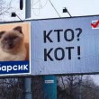 Barsik, il gatto candidato sindaco in Siberia 01