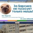 Barsik, il gatto candidato sindaco in Siberia 02