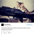 Anonymous: gatti e papere contro l'Isis FOTO