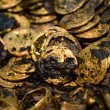 Cina, scoperte monete d’oro in tomba di 2mila anni fa FOTO 4