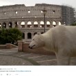Orso polare "in giro" per Roma: provocazione di Greenpeace9