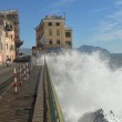 YOUTUBE Genova, mareggiate a Boccadasse e in Liguria 68
