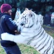 Lewis Hamilton "abbraccia" tigre bianca in Messico3