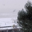 Maltempo neve a Pescara, Molise, Marche e Puglia6