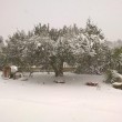 Maltempo neve a Pescara, Molise, Marche e Puglia