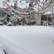 Maltempo: neve a Pescara, Molise, Marche e Puglia19