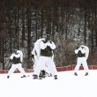 Marines e militari coreani sulla neve