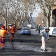 Roma, Aduc: "Guano su strada potrebbe provocare tubercolosi"3