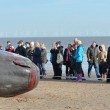 Selfie accanto a balene spiaggiate, nuova moda6