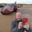 Selfie accanto a balene spiaggiate, nuova moda7