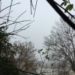 Nebbia Roma: Capitale si sveglia32