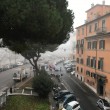 Nebbia Roma: Capitale si sveglia20