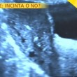 Michelle Hunziker ecografia in tv: "Non sono incinta" VIDEO 3