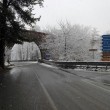 Meteo, arriva il freddo artico: neve su Calabria, Marche...04