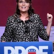 YOUTUBE Usa 2016, Sarah Palin: "Sto con Donald Trump" 2 3