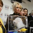 Pamela Anderson contro foie gras produttori protestano6