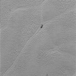 Vulcano su Plutone: ghiaccio al posto della lava FOTO 6
