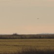 YOUTUBE Ufo inseguito da aerei militari in Bulgaria2